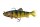 Fox Ultra UV Trout Replicant Jointed 18cm 110g Stickleback