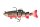 Fox Ultra UV Trout Replicant Jointed 18cm 110g Tiger Trout