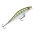 Rapala Shadow Rap Shad SDR09 YP