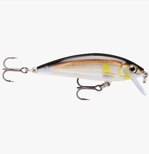 Rapala X-Rap Countdown XRCD07 AYU