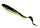 Abu Garcia McPerch Curly 8cm Black Chartreuse