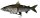 DAM Effzett Natural Whitefish SL 18cm 62g Rainbow Trout