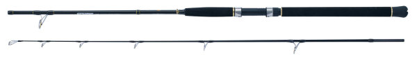 WFT Sea Dart Special Fjord 2pc. 2,10m 12lbs 20-160g