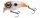 Spro Fat Iris Hardlure 4cm 5,4g Hot Tail