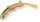 Quantum Pelagic Shad Set HAIRY 60g 21cm the monk