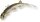 Quantum Pelagic Shad Set HAIRY 60g 21cm arkansa shiner