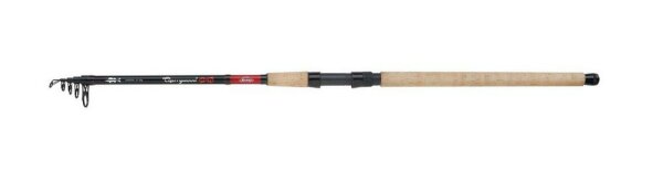 Berkley Cherrywood Spezi Zander T305 21-50g