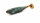 Nays Softbait VNM 50 C-02