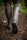 Fox Neoprene Lined Rubber Boot khaki/camo Gr.44