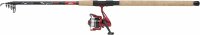 Berkley Cherrywood Spezi Aal Tele 2,75m 30-60g Combo